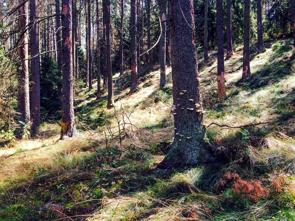 Przystanek Tlen Tleń Exterior foto