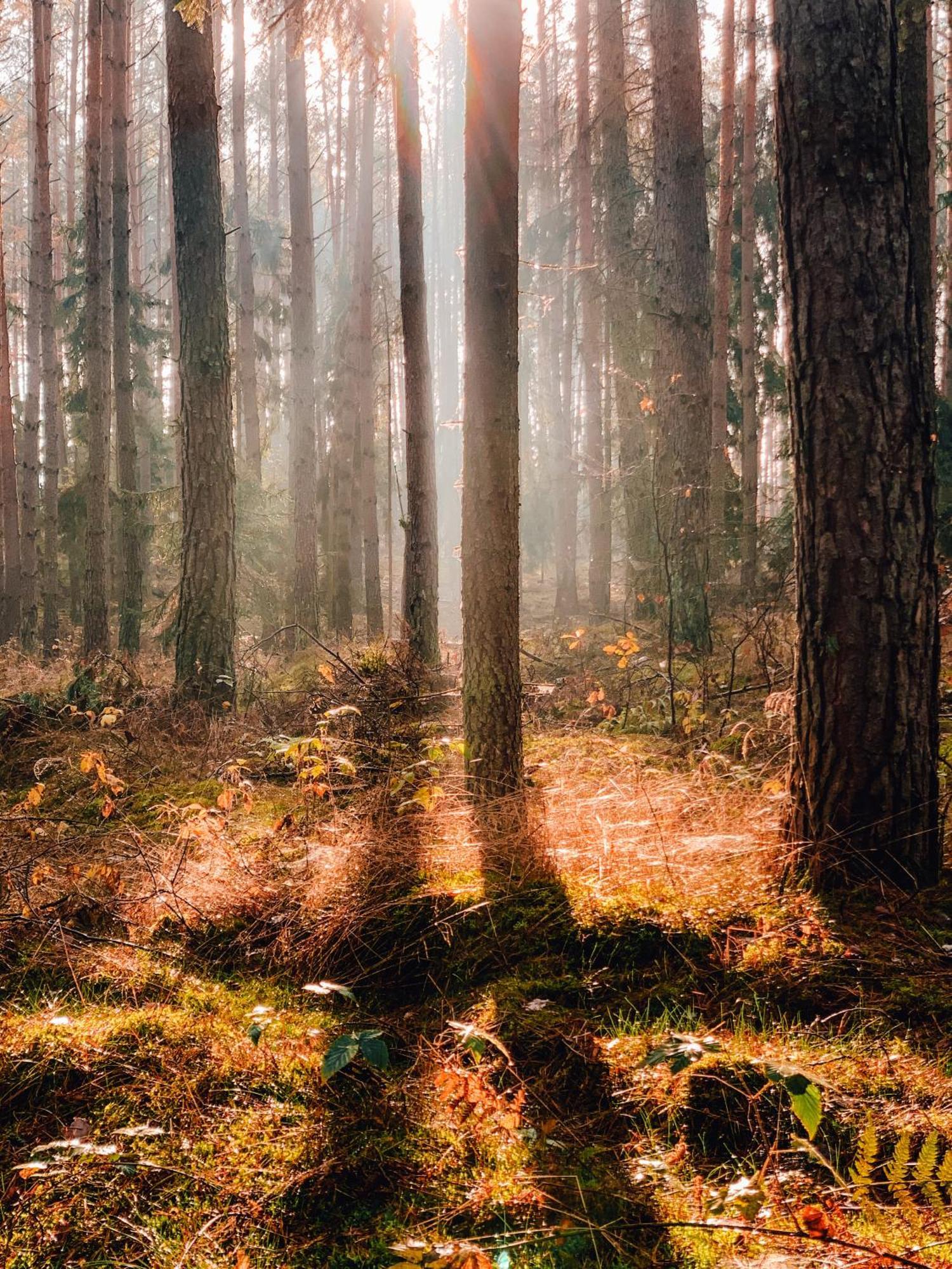 Przystanek Tlen Tleń Exterior foto
